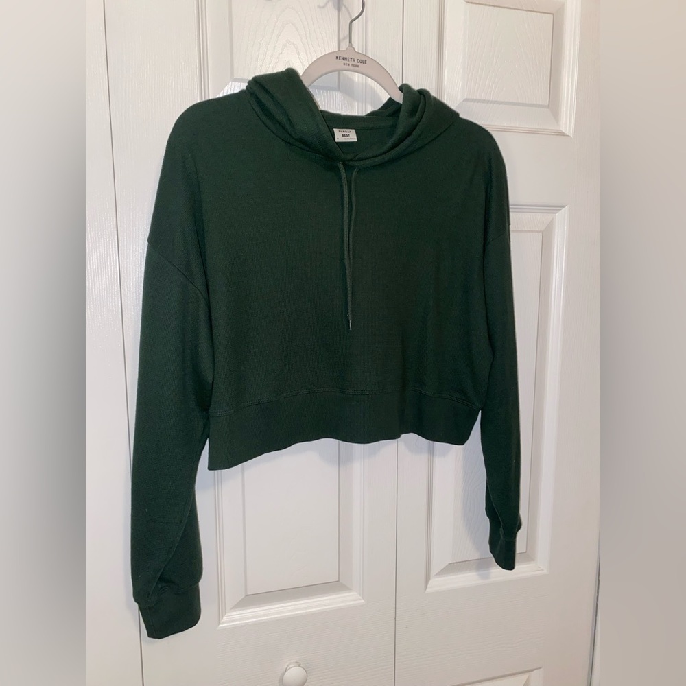 Aritzia Cropped Hoodie